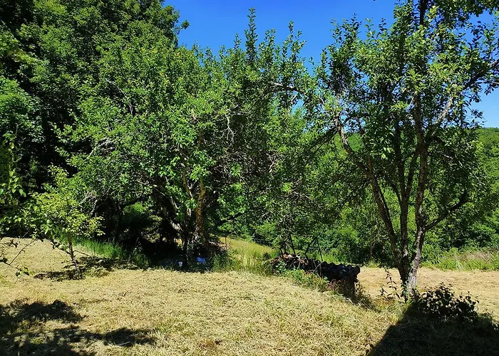 La Combe Aux Oiseaux Landsted Villefranche-de-Rouergue