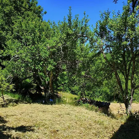 La Combe Aux Oiseaux Venkovský dům Villefranche-de-Rouergue