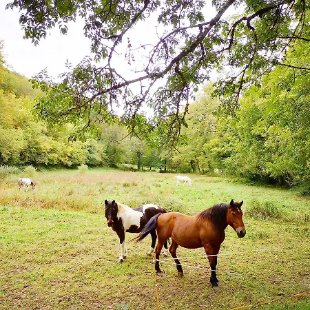 Séjour à la campagne La Combe Aux Oiseaux